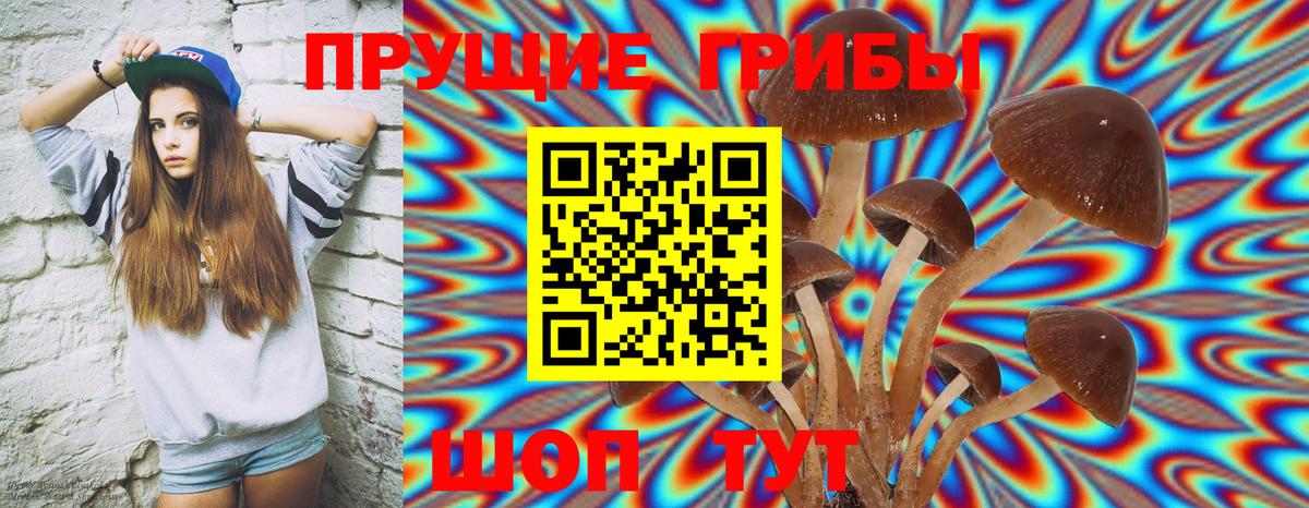 Псилоцибиновые грибы прущие грибы Великий Устюг